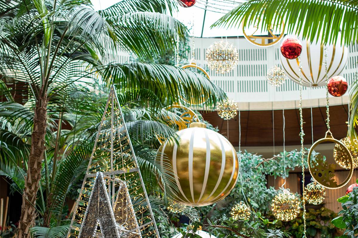 Decoration at Canterbury League Club